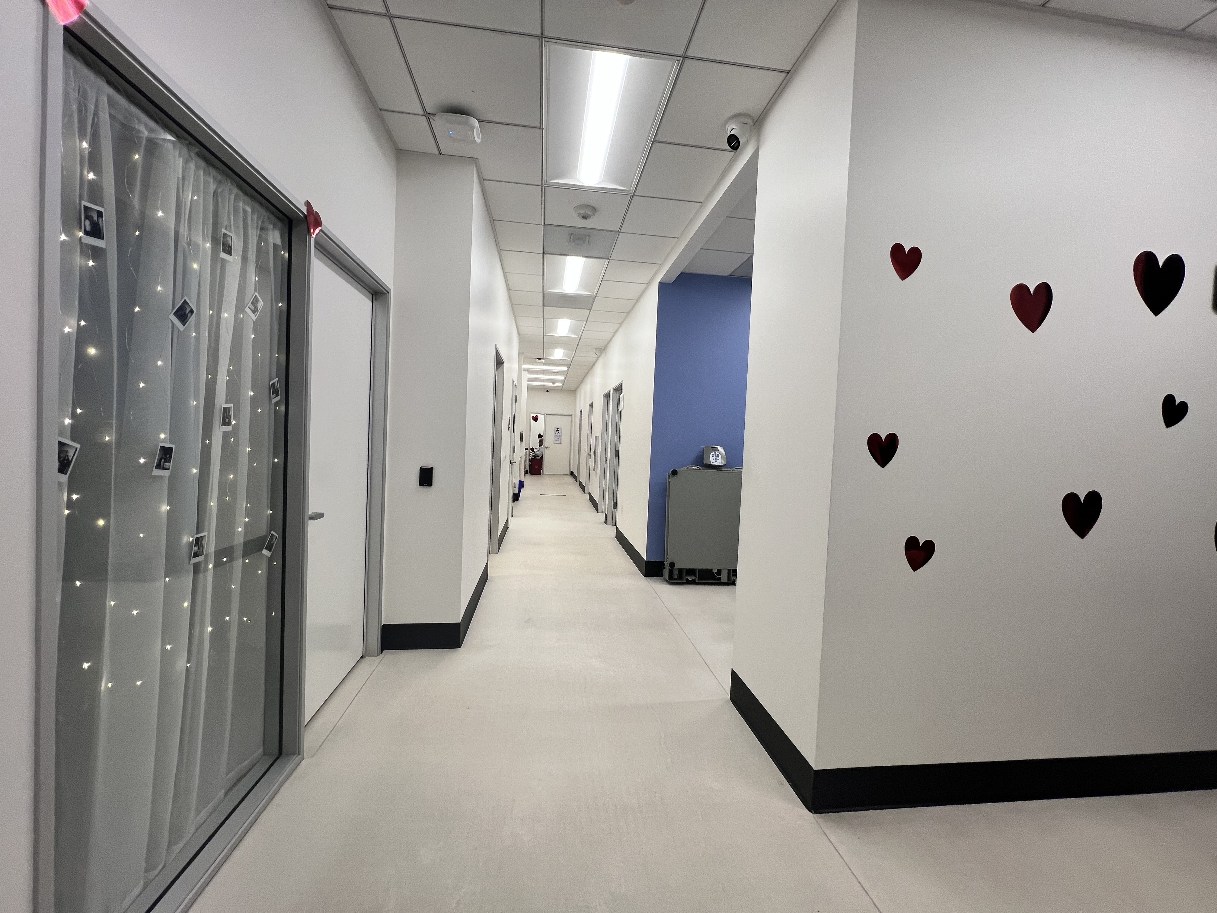 Healthy Aging at St. Mary interior