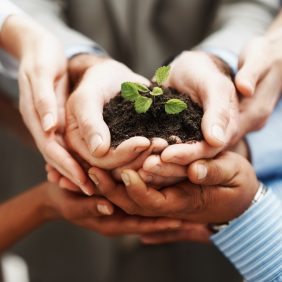 Business development - Closeup of hands holding seedling in a group